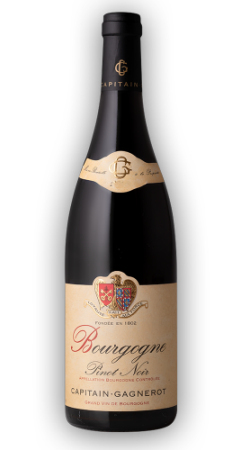 Pinot Noir Burgundy